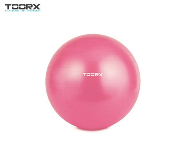 Palla da Ginnastica Toorx 55 cm Gym Ball main product photo