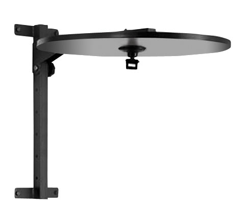 Supporto a muro regolabile in altezza e ripiegabile con disco per palla veloce Toorx main product photo