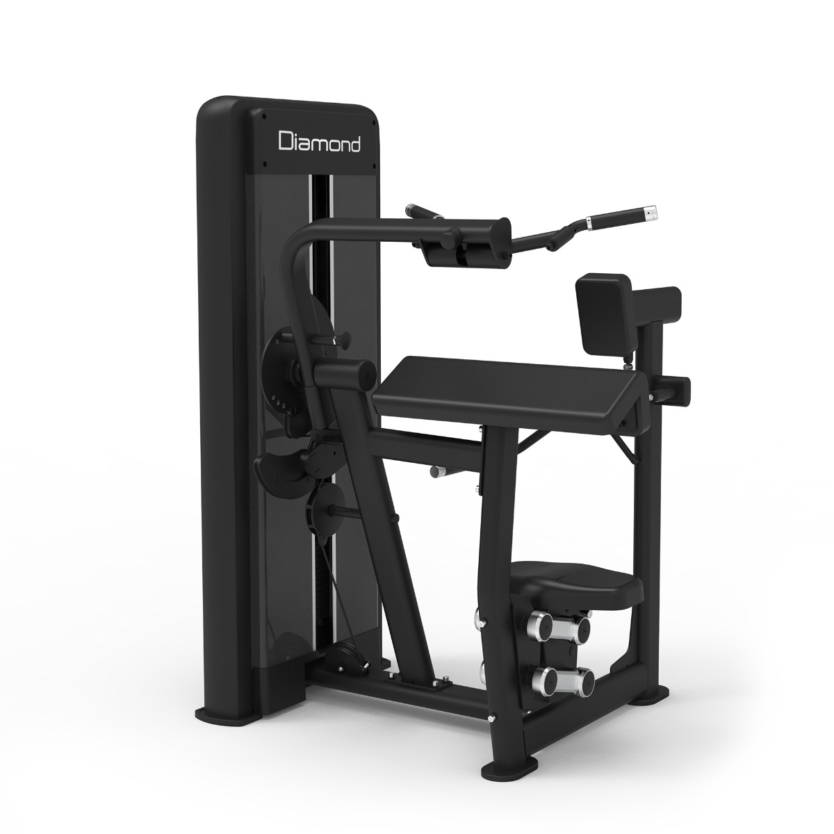 Combo Biceps / Triceps Machine Professionale Diamond - serie 550 main product photo